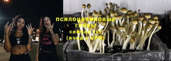 бошки Богородицк