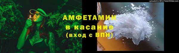 шишки Новодвинск