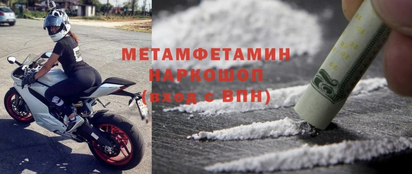 шишки Новодвинск
