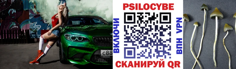 Псилоцибиновые грибы GOLDEN TEACHER  МЕГА рабочий сайт  Новокубанск 